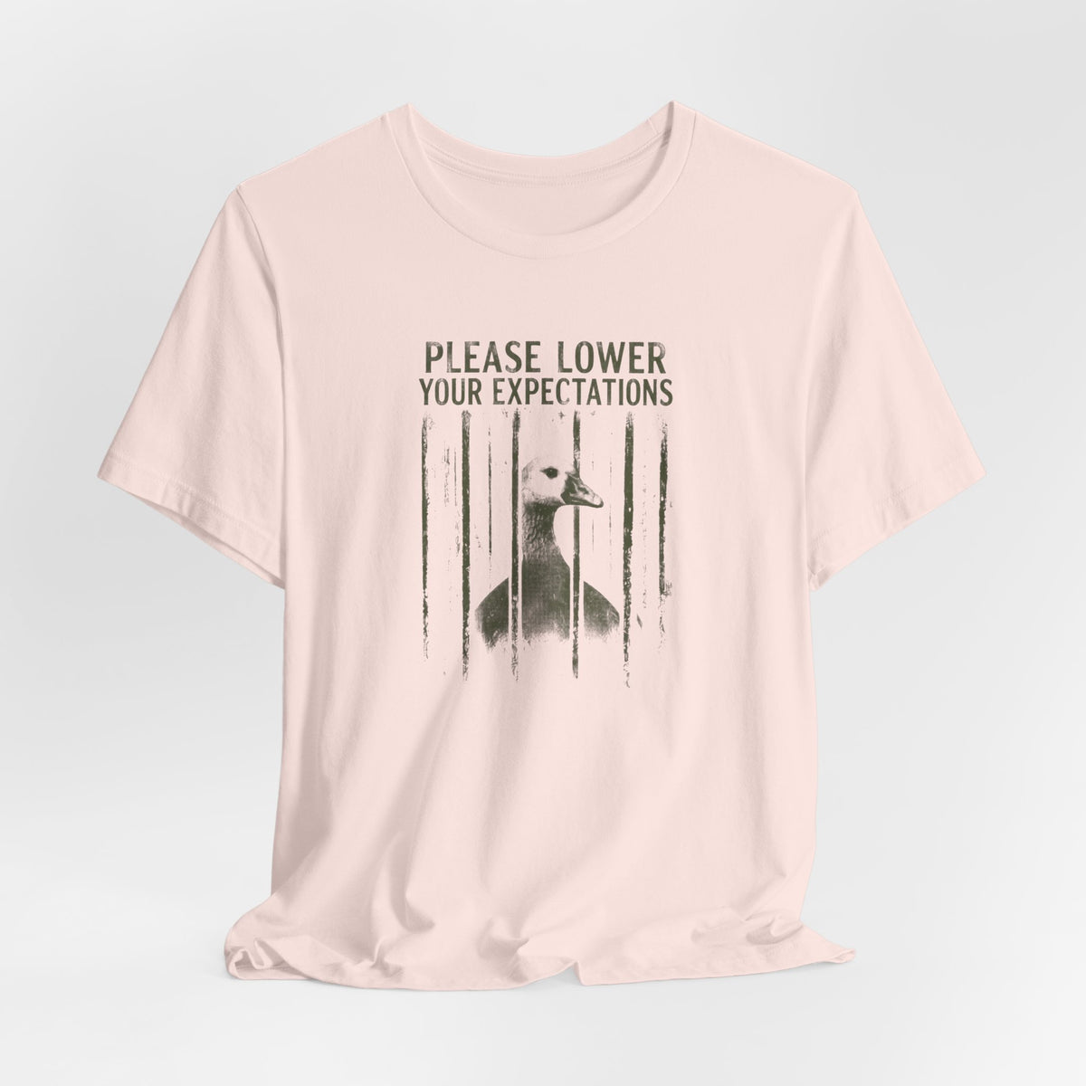Please Lower Your Expectations - Sarcastic Humor T-Shirt