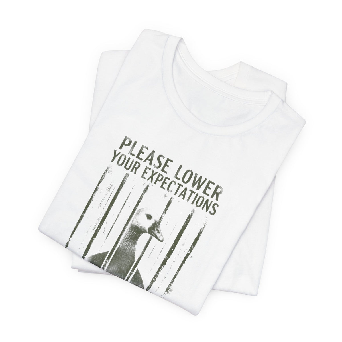 Please Lower Your Expectations - Sarcastic Humor T-Shirt