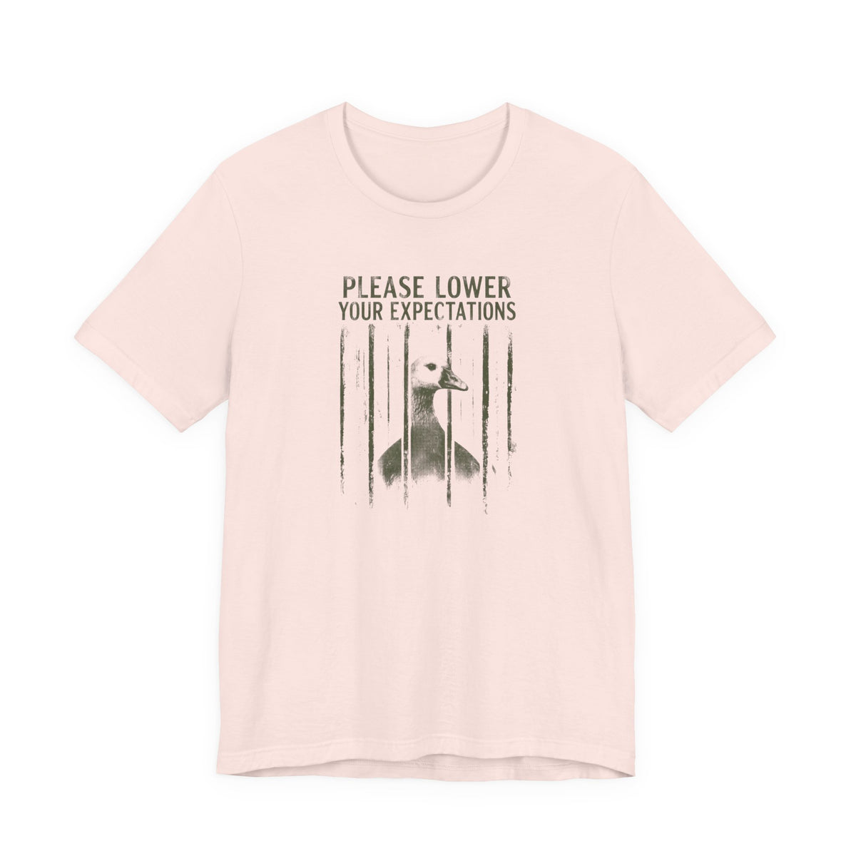 Please Lower Your Expectations - Sarcastic Humor T-Shirt
