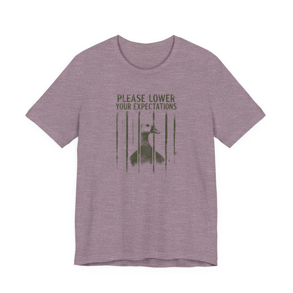 Please Lower Your Expectations - Sarcastic Humor T-Shirt