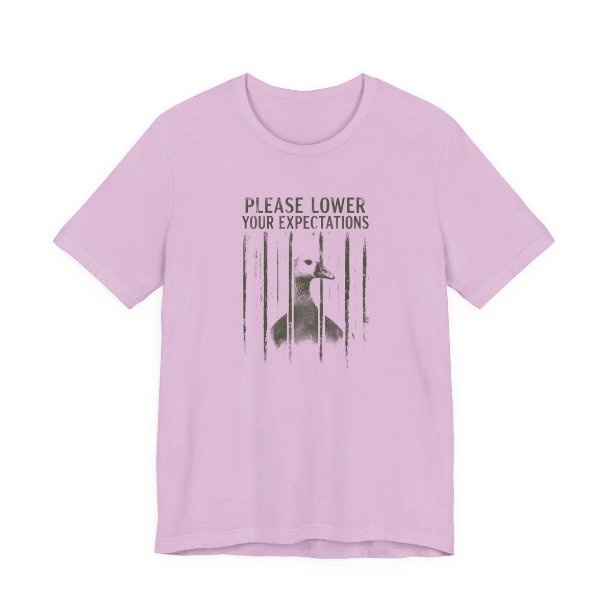 Please Lower Your Expectations - Sarcastic Humor T-Shirt