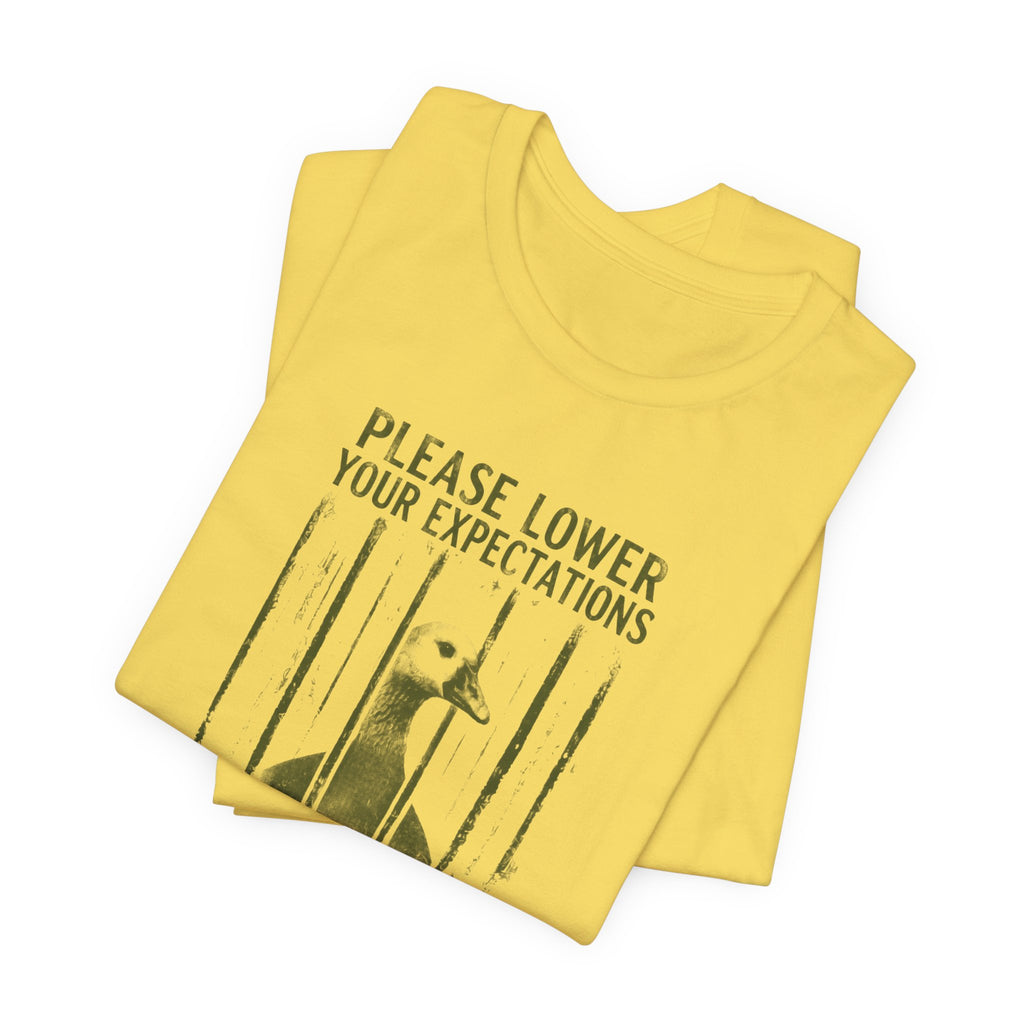 Please Lower Your Expectations - Sarcastic Humor T-Shirt