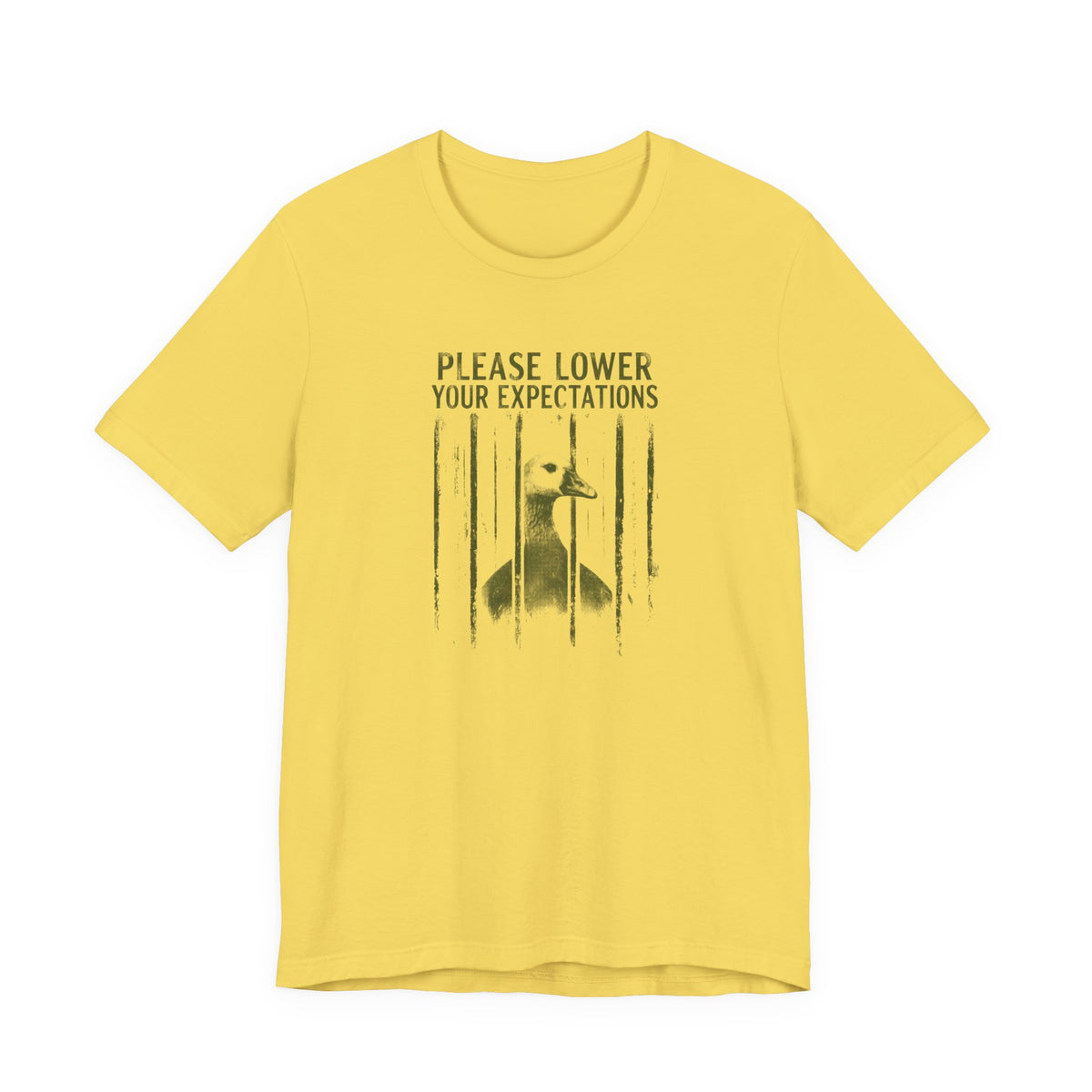 Please Lower Your Expectations - Sarcastic Humor T-Shirt