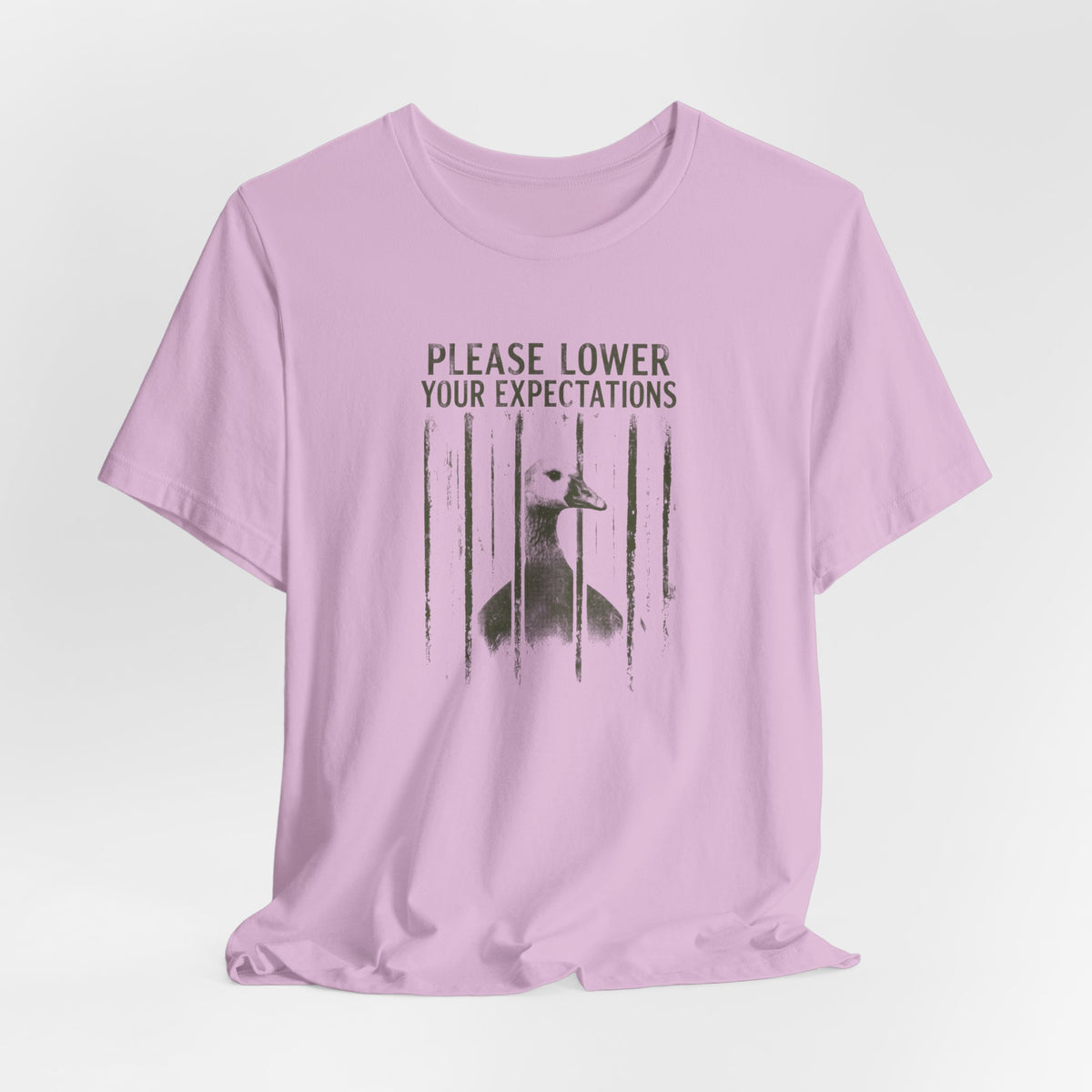 Please Lower Your Expectations - Sarcastic Humor T-Shirt