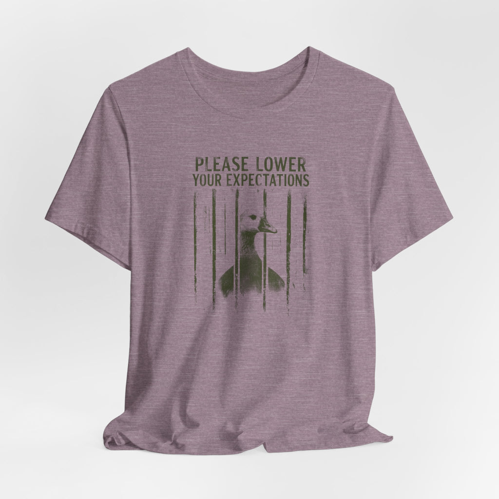 Please Lower Your Expectations - Sarcastic Humor T-Shirt