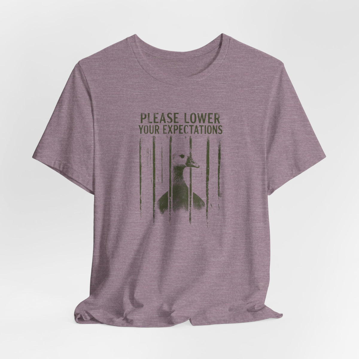 Please Lower Your Expectations - Sarcastic Humor T-Shirt