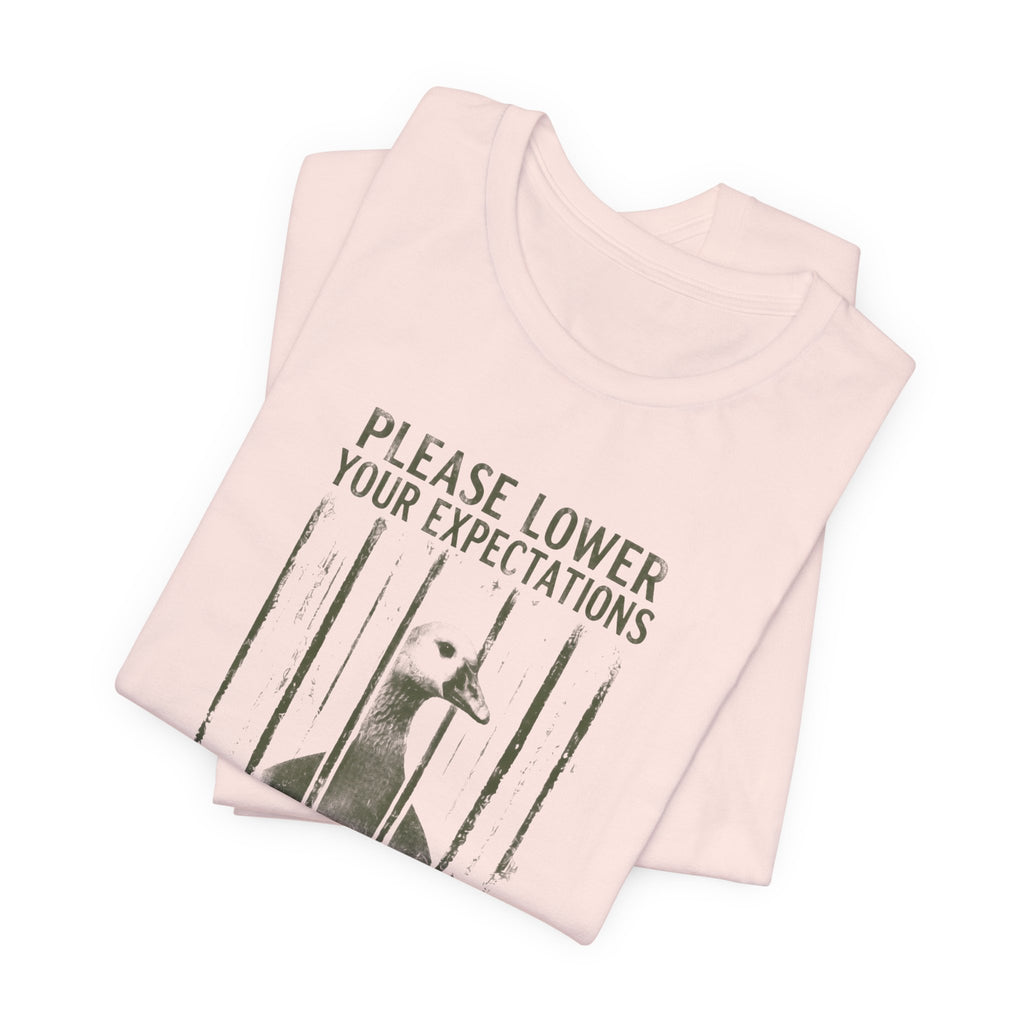 Please Lower Your Expectations - Sarcastic Humor T-Shirt