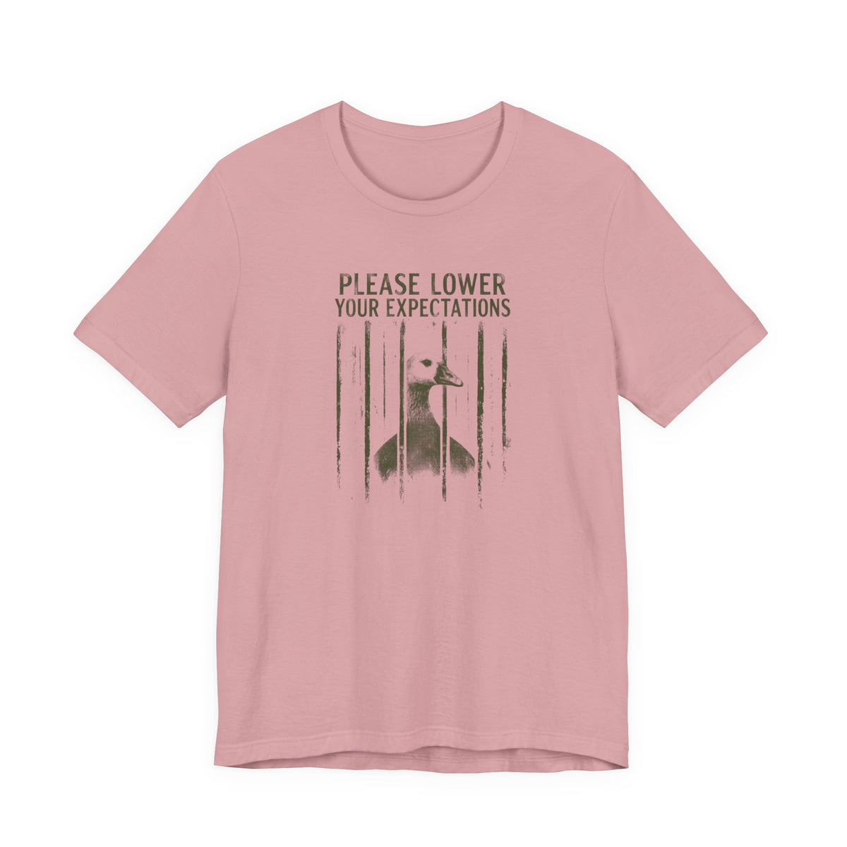 Please Lower Your Expectations - Sarcastic Humor T-Shirt