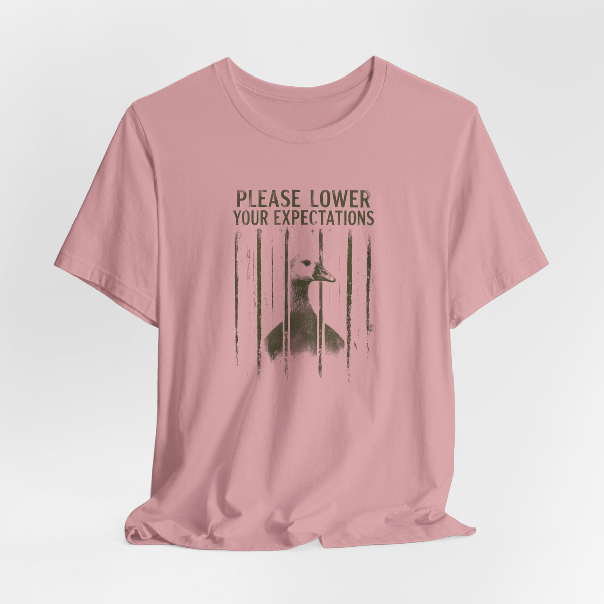 Please Lower Your Expectations - Sarcastic Humor T-Shirt