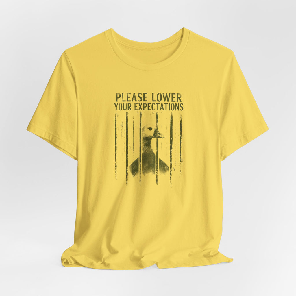 Please Lower Your Expectations - Sarcastic Humor T-Shirt