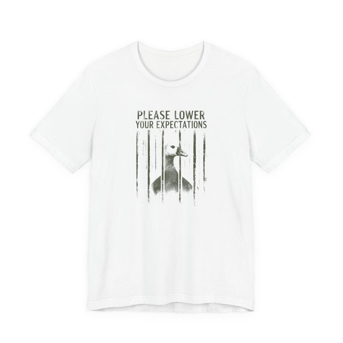 Please Lower Your Expectations - Sarcastic Humor T-Shirt