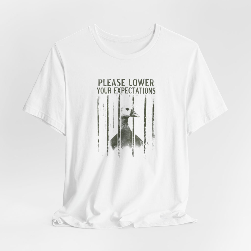 Please Lower Your Expectations - Sarcastic Humor T-Shirt